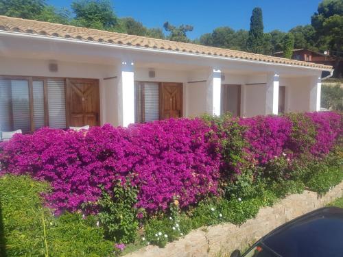  Hostal Ondina, Begur bei Torrent