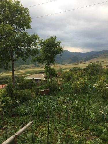 Anush`s B&B - image 6