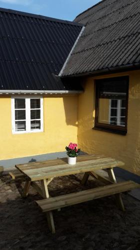 Garden, Jerupvej Holiday Home in Sindal