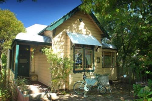 Leura Lady Blue Mountains