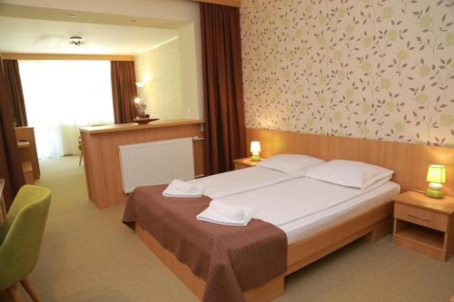 Hotel Muresul Health Spa – Sovata, WI