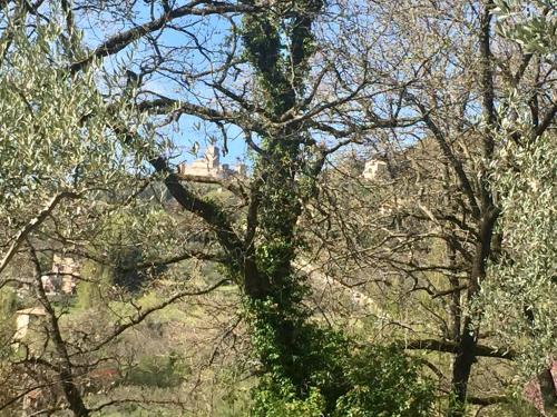  Lavanda e Rosmarino Home, Ferienwohnung in Assisi