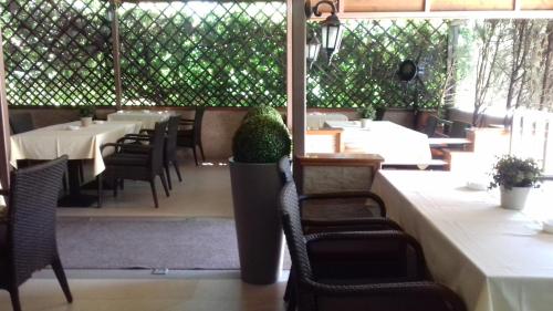 B&B Boem in 波扎雷華茨