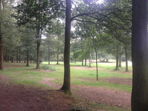 B&B Landgoed Bergerven in Horn