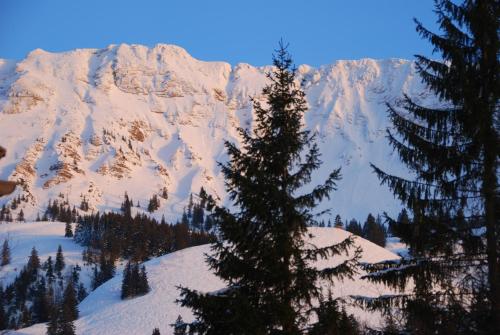 View, FeWo Heitmann in Oberjoch
