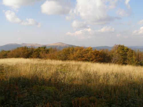 Bieszczadzka Świteź