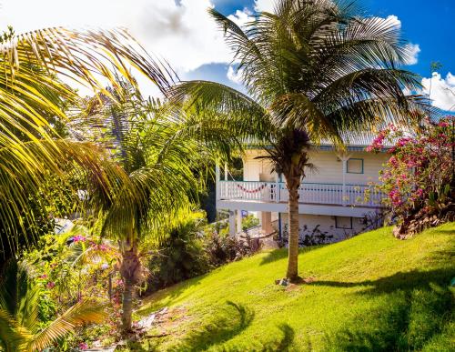 Jardim, Hotel Residence Oceane in La Trinite