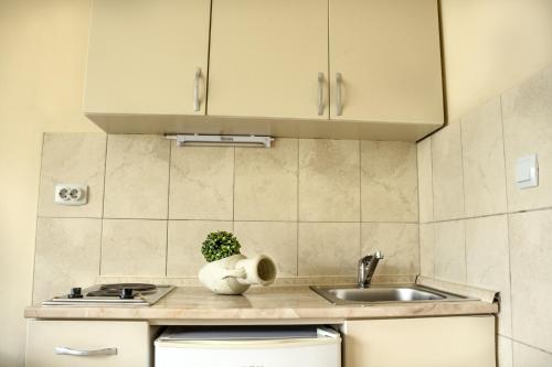 Apartmani Stanovčić - image 4