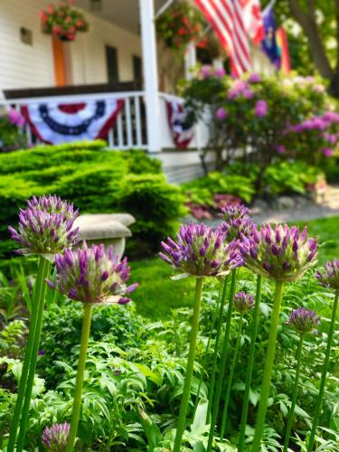 مبيت وإفطار بورن مبيت وإفطار بورن