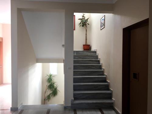 Hotel Golden Sun - image 2