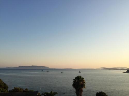 Hotel Golden Sun - image 13