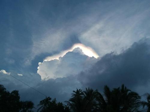 Yuri Sunrise Yuri Sunrise