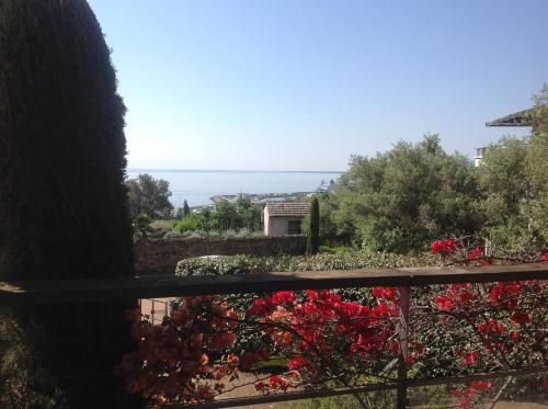 Jardins En Ville - Location saisonnière - Bastia