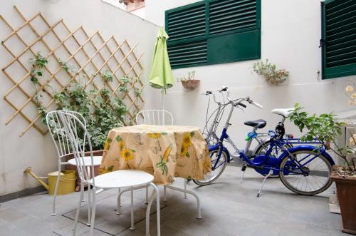 Agnolo garden & city bikes - image 8