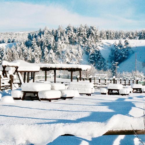 Hotel Orbel - image 11