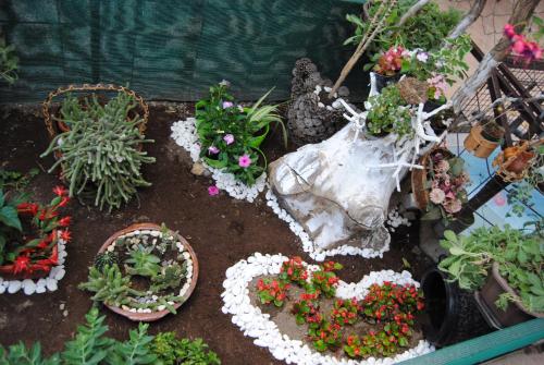 Facilities, Joleski Accommodation in Ohrid