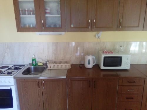  Apartment Anita Brodarica, Pension in Brodarica