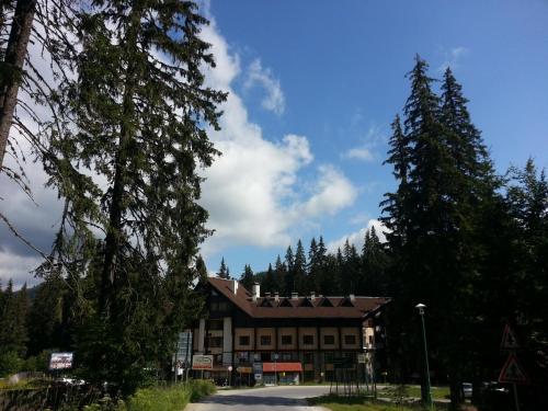 Апартаменти Малина, Pamporovo (fotografie 8)