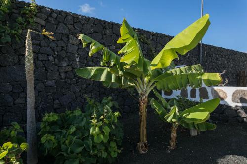 Villa El Jable Lanzarote