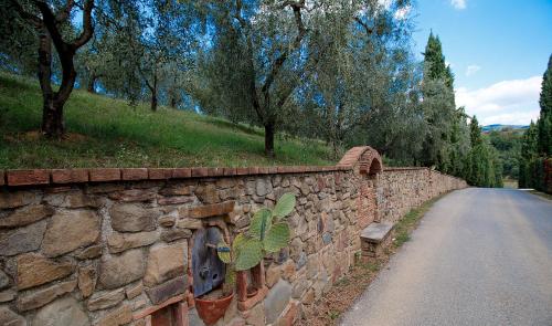 Agriturismo Il Piastrino - image 3