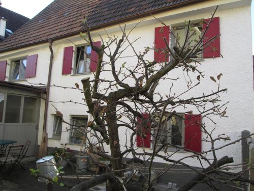 Vedere exterior, Omas Schmuckkästle (Omas Schmuckkastle) in Lauingen (Donau)