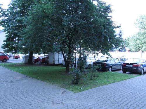 Life Apartment