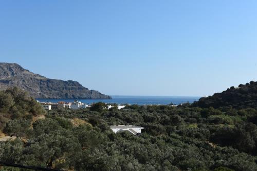  Antonis Studios & Apartments in Plakias