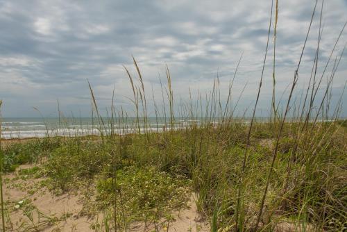 South Padre Island Beach Rentals