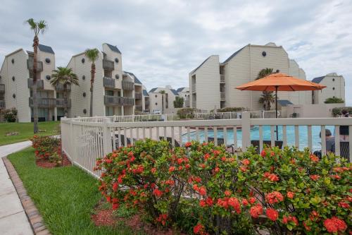 South Padre Island Beach Rentals - image 3