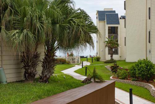 South Padre Island Beach Rentals - image 4