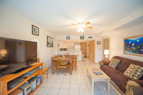 South Padre Island Beach Rentals - image 9