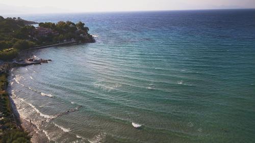 Clear Horizon - image 5
