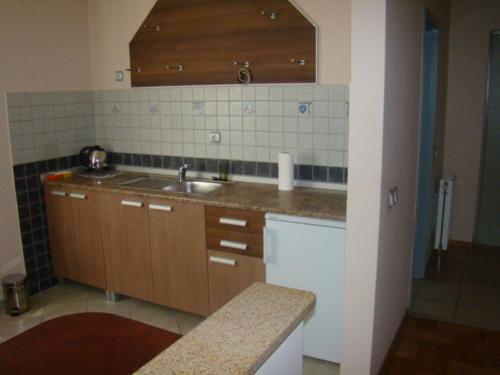 Apartments Singidunum 4 Lux - image 2