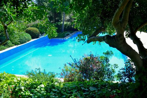 Abba Garden, Barcelona (Foto 8)