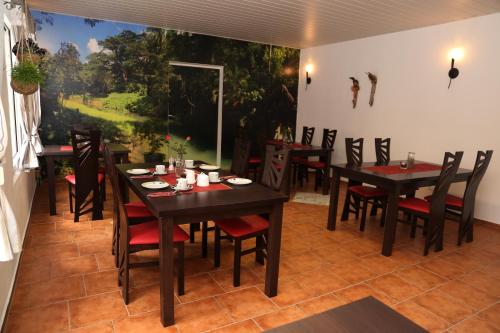 Toit ja joogid, Pension Cubana in Rothenburg