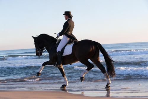 Pensión Los Caballos - image 6