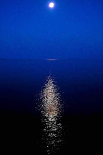 George's Apartments - image 2