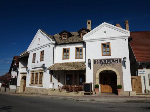 Halasi Pince Panzió - image 11