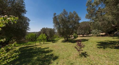 Villa Ricci - image 9