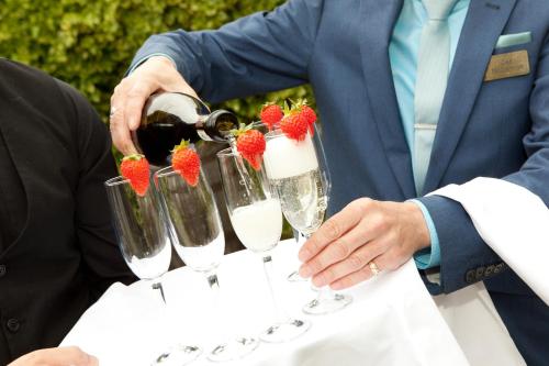 Darnley Lodge Hotel - image 6