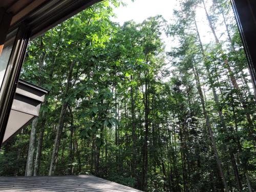 Momiji Guesthouse Cottages - Alpine Route