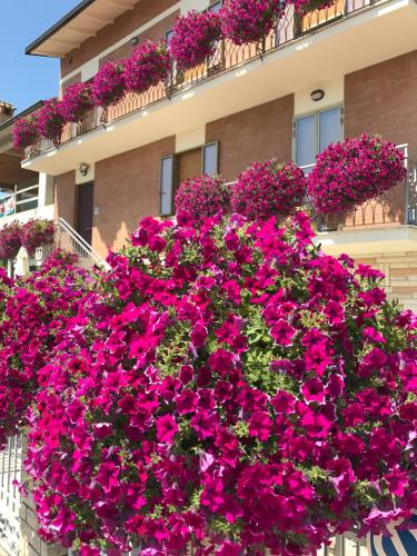 La Signora Dei Fiori, Unterkunft in Gubbio