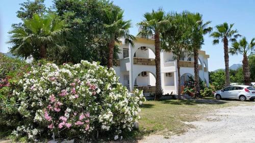 Paradise, Kyrenia