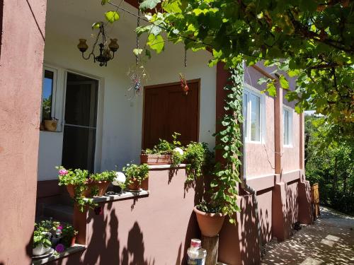 Ieeja, Casuta dintre dealuri in Valea Mare Pravat