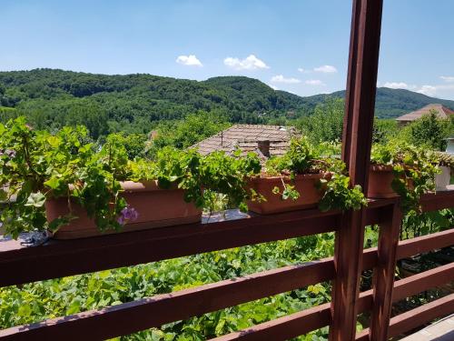 Viesnīcas āriene, Casuta dintre dealuri in Valea Mare Pravat