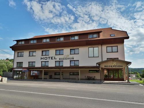 

Hotel Bacchus Sovata