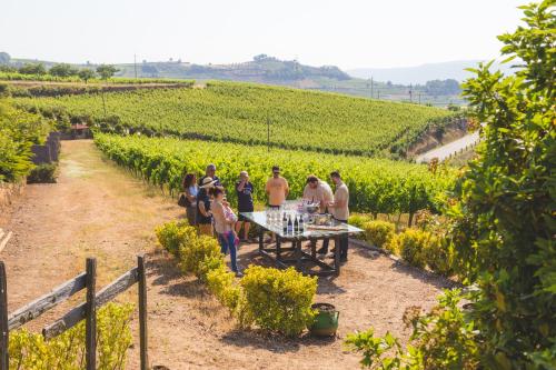 Quinta da Barroca - image 11