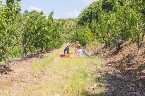 Quinta da Barroca - image 10