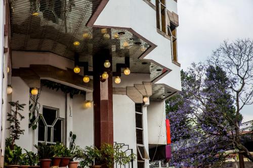 Hotel Pegasus Crown - 图片 4