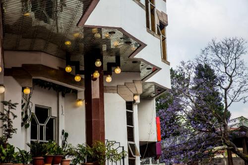Hotel Pegasus Crown - 图片 5